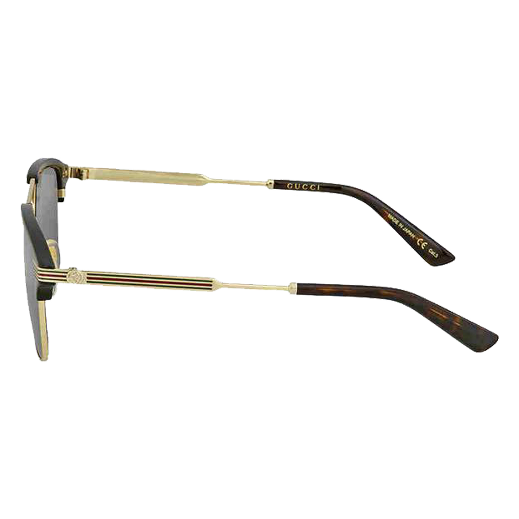 GG0241S 002 54 – The Gold Parrot