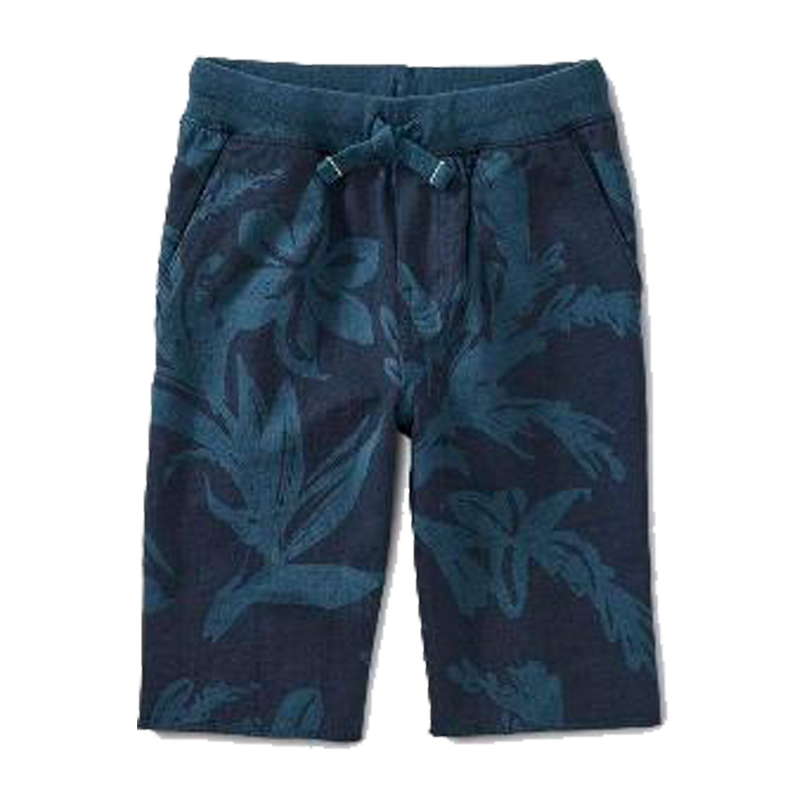 Pattern Cruiser Shorts