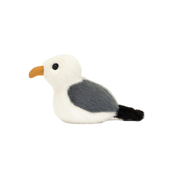 Birdling Seagull