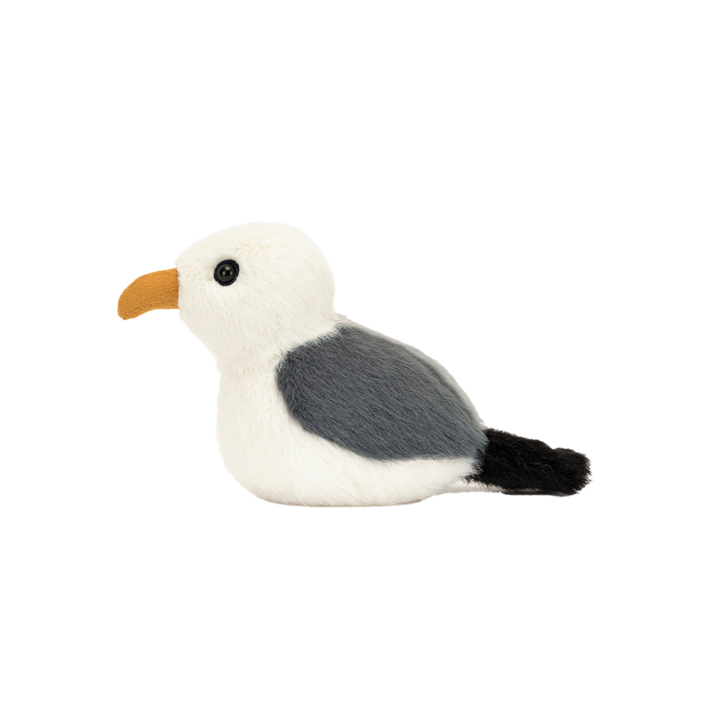Birdling Seagull