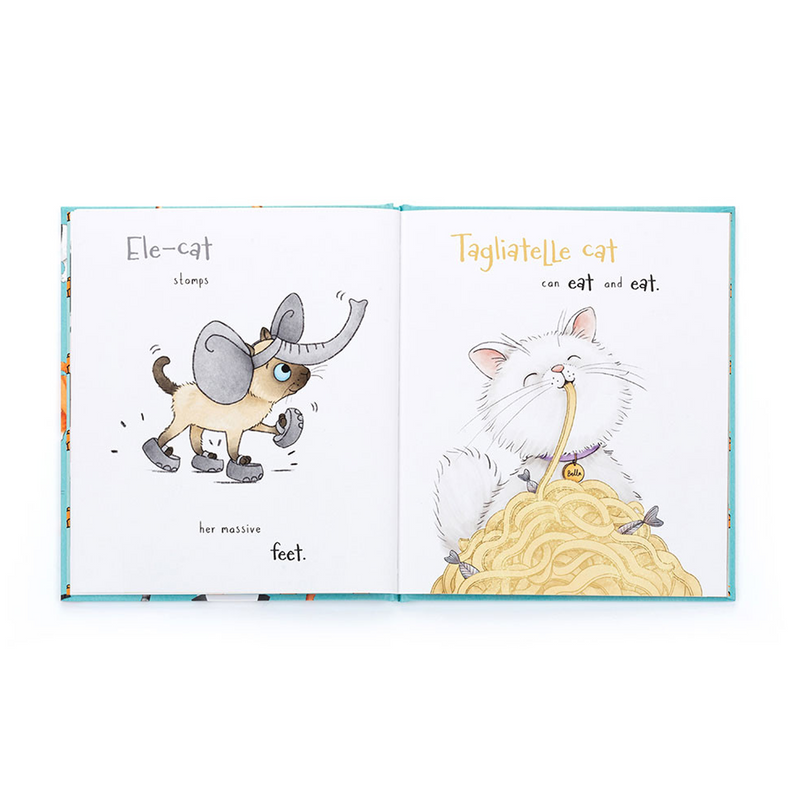 All Kinds Of Cats Book