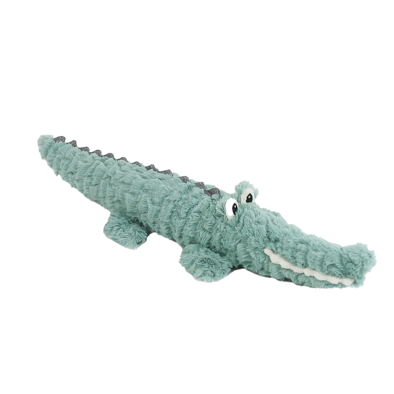 Alligator