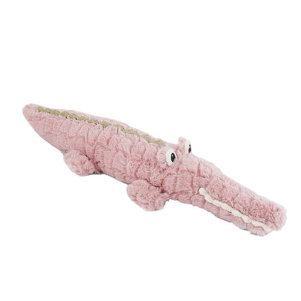 Alligator