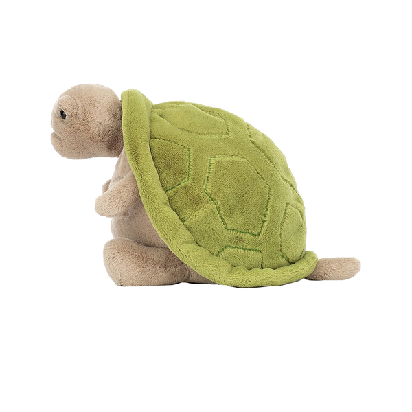Timmy Turtle