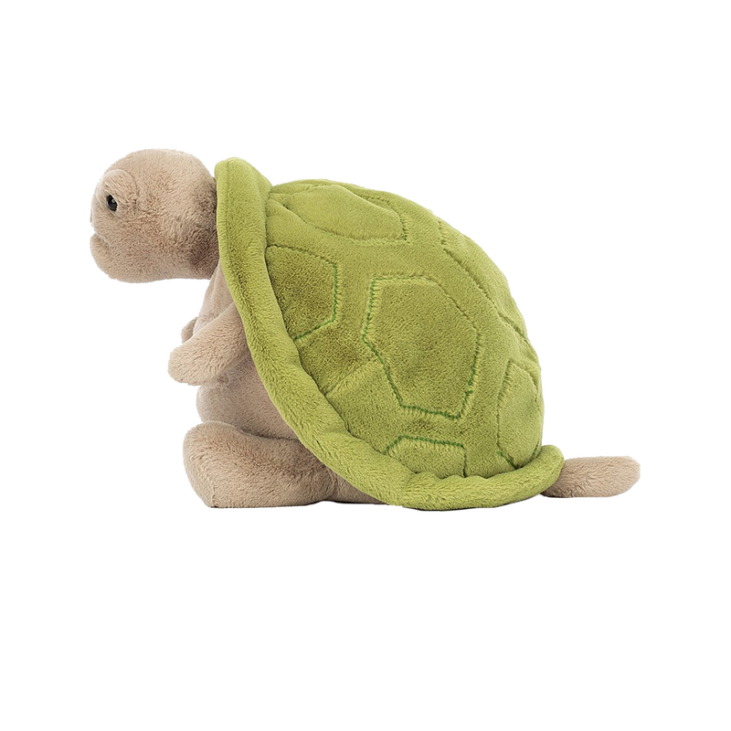 Timmy Turtle