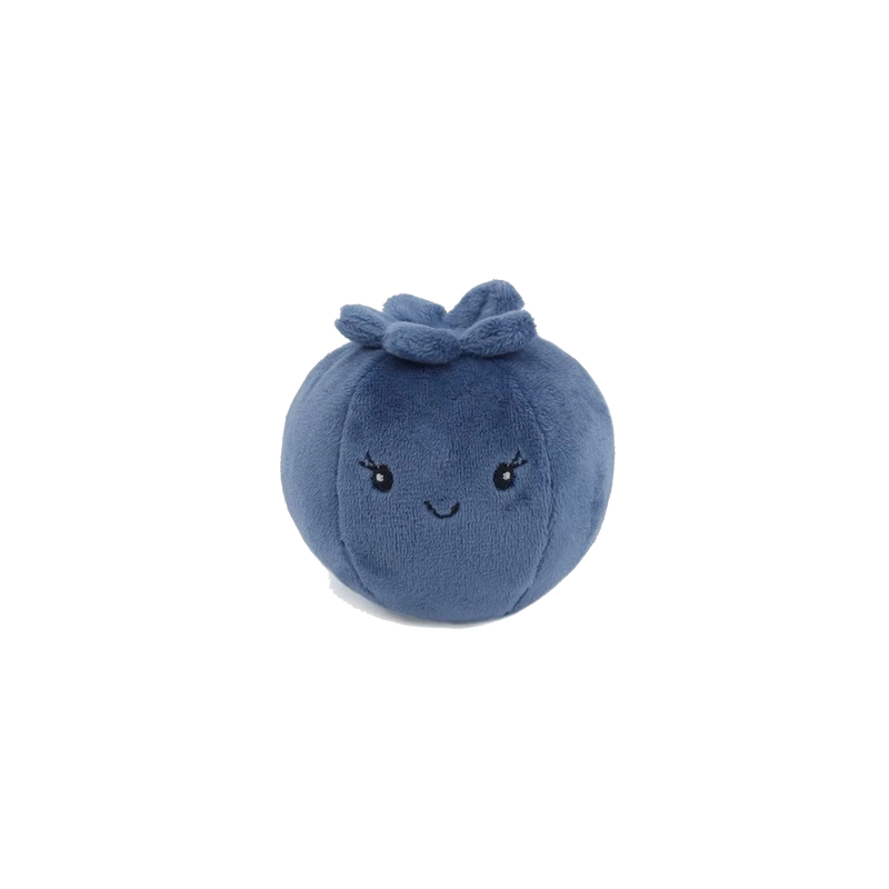 Blueberry Scented Plush Toy
