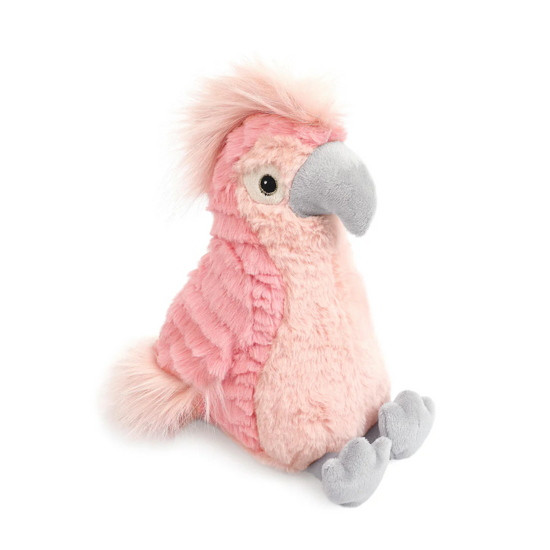 Cockatoo