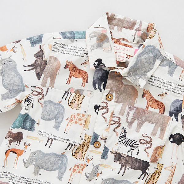 Baby Boys Easton Jumper