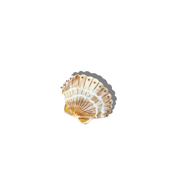 Hand-Painted Mini Seashell Claw Hair Clip | Eco-Friendly
