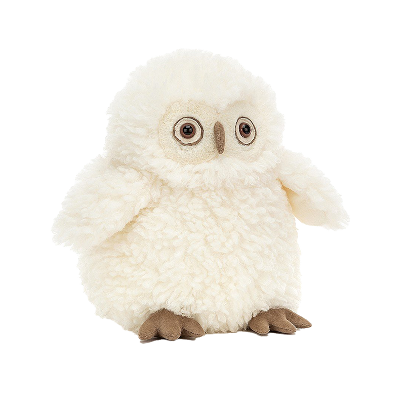 Apollo Owl