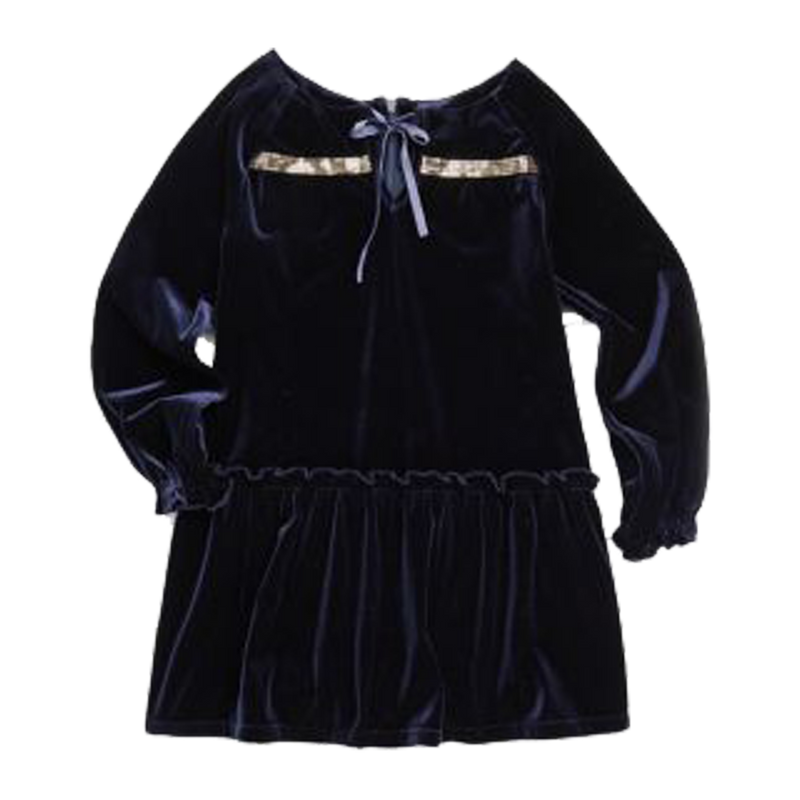Aria Velvet Dress