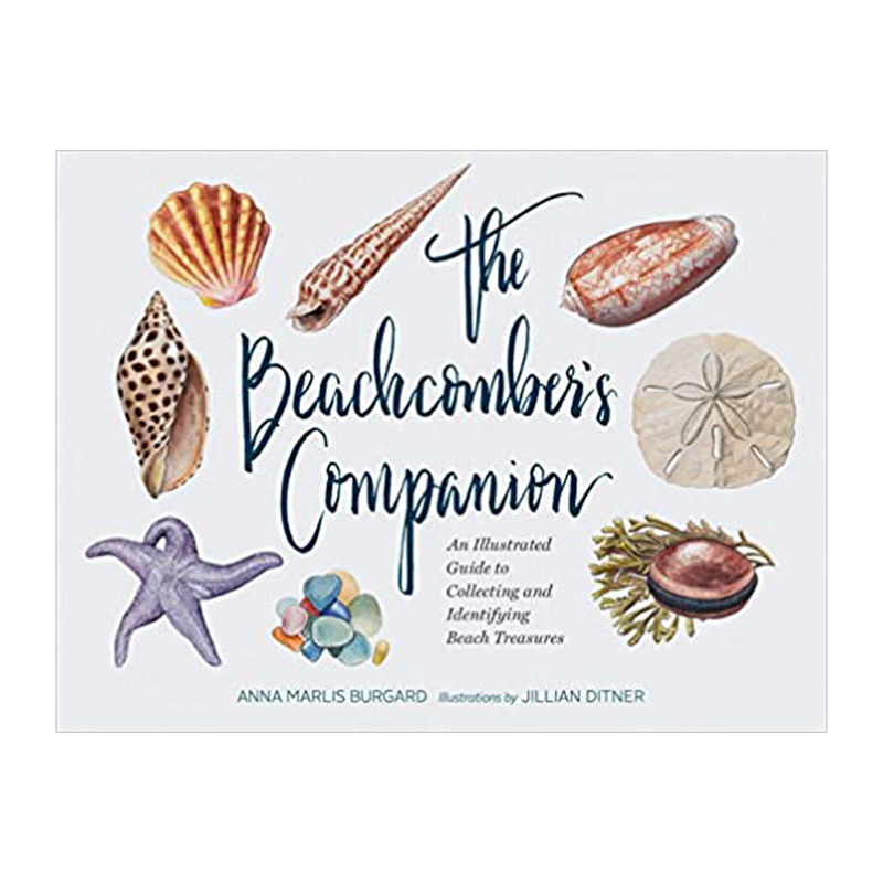 The Beachcomber's Companion