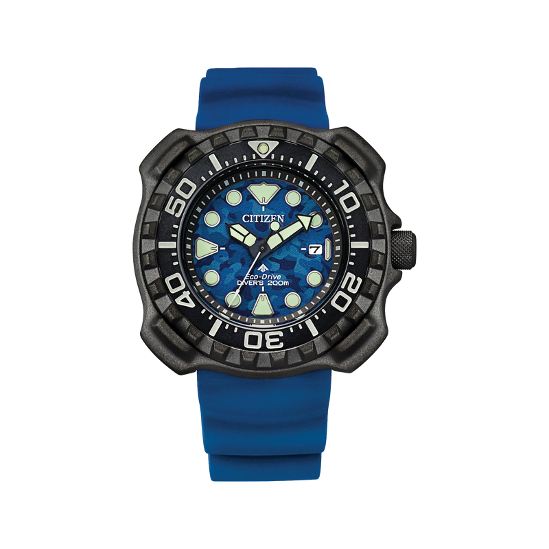 Promaster Dive