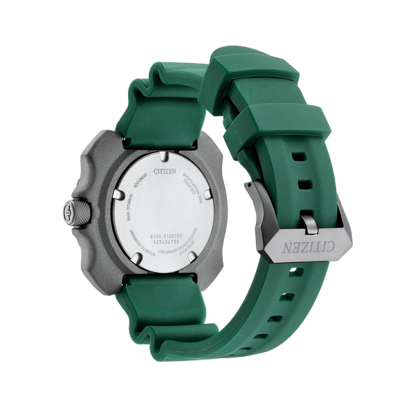 Promaster Dive