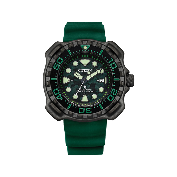 Promaster Dive
