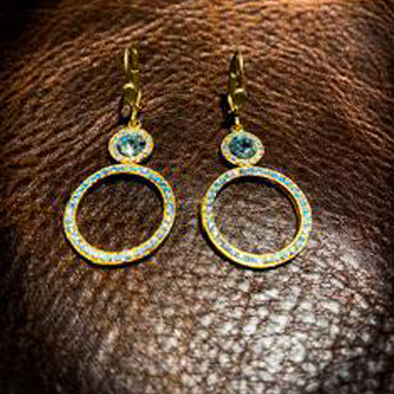 Double Circle Earrings