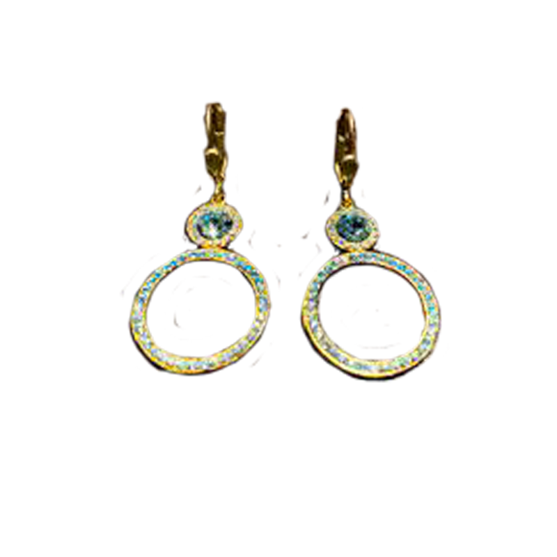 Double Circle Earrings