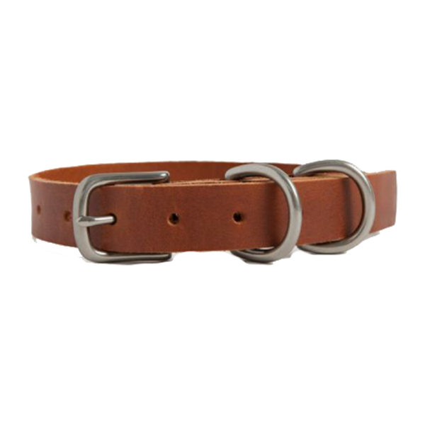 DOG COLLAR SMALL ANTIQUE DOUGLAS COGNAC