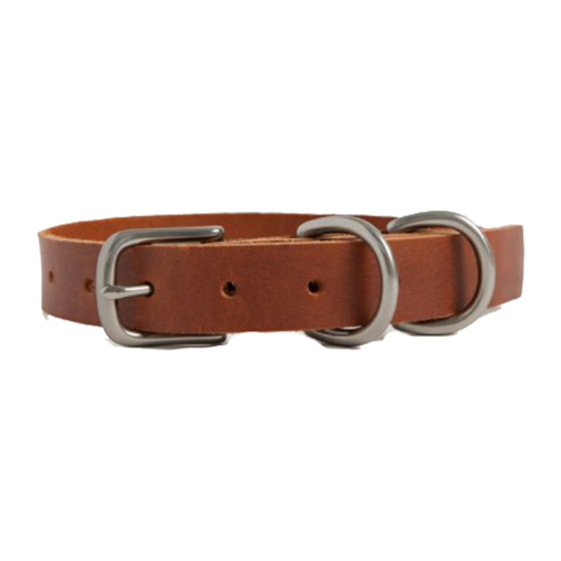 DOG COLLAR SMALL ANTIQUE DOUGLAS COGNAC