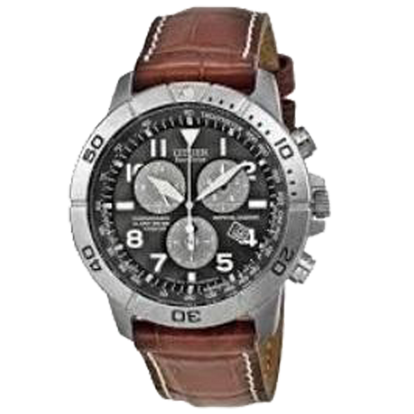 CITIZEN Eco Drive Perpetual Calendar Chronograph Men s Watch The Gold Parrot