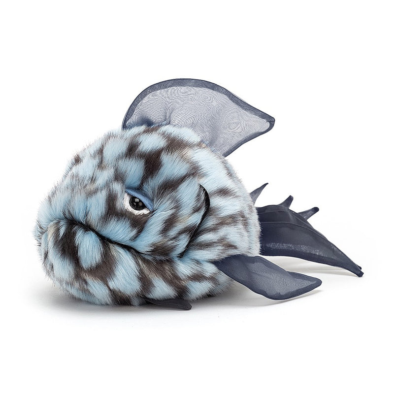 Grumpy Fish