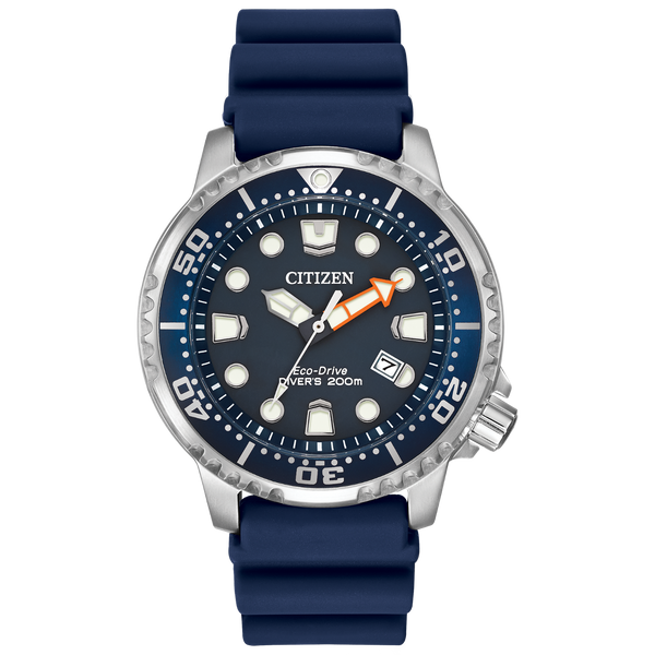 PROMASTER DIVER