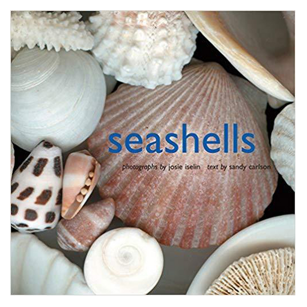Seashells
