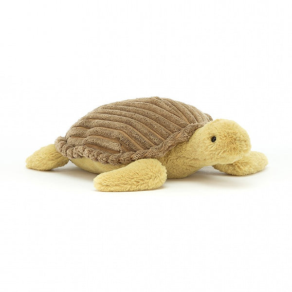 Terence Turtle