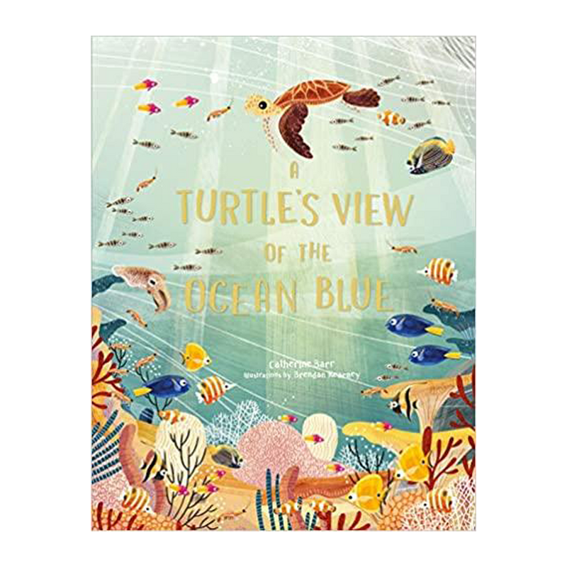 A turtle's View of the Ocean Blue