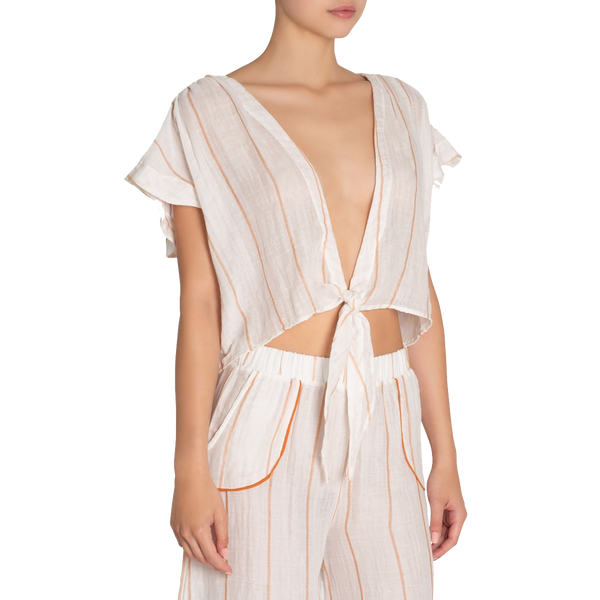 Awning Stripe Olympia