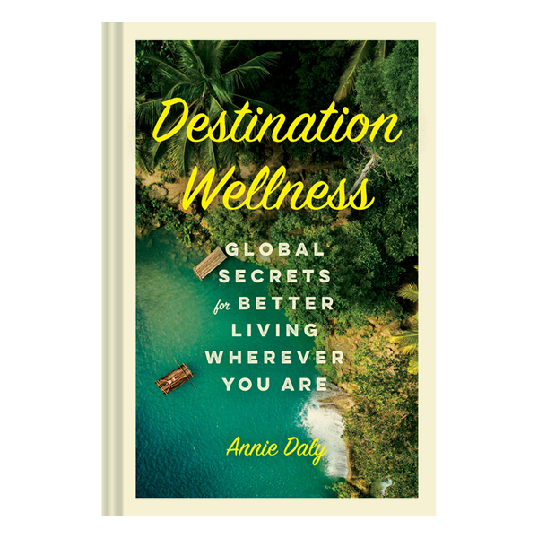 Destination Wellness - Book