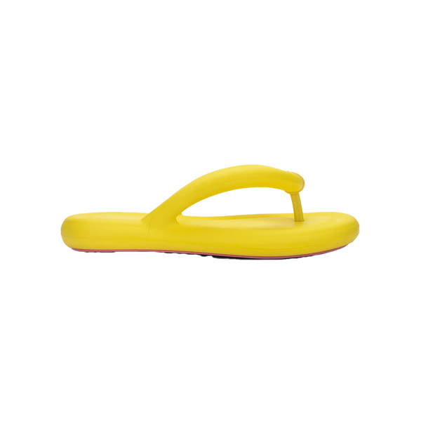 Flip Flop Free