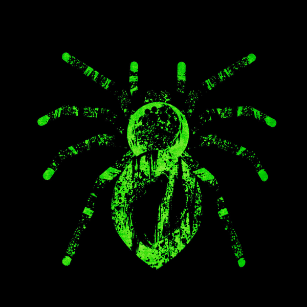 Spider Power Glow Graphic Tee
