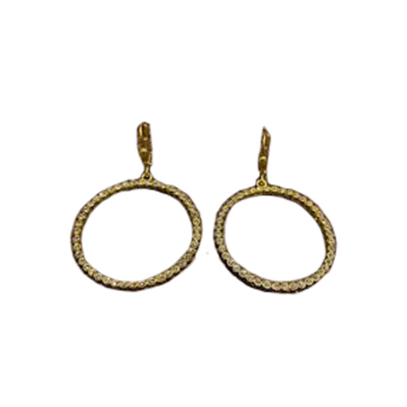 Gold Hooped Earrings