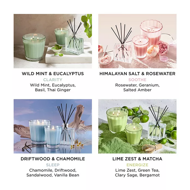 Wild Mint & Eucalyptus Wellness Classic Candle